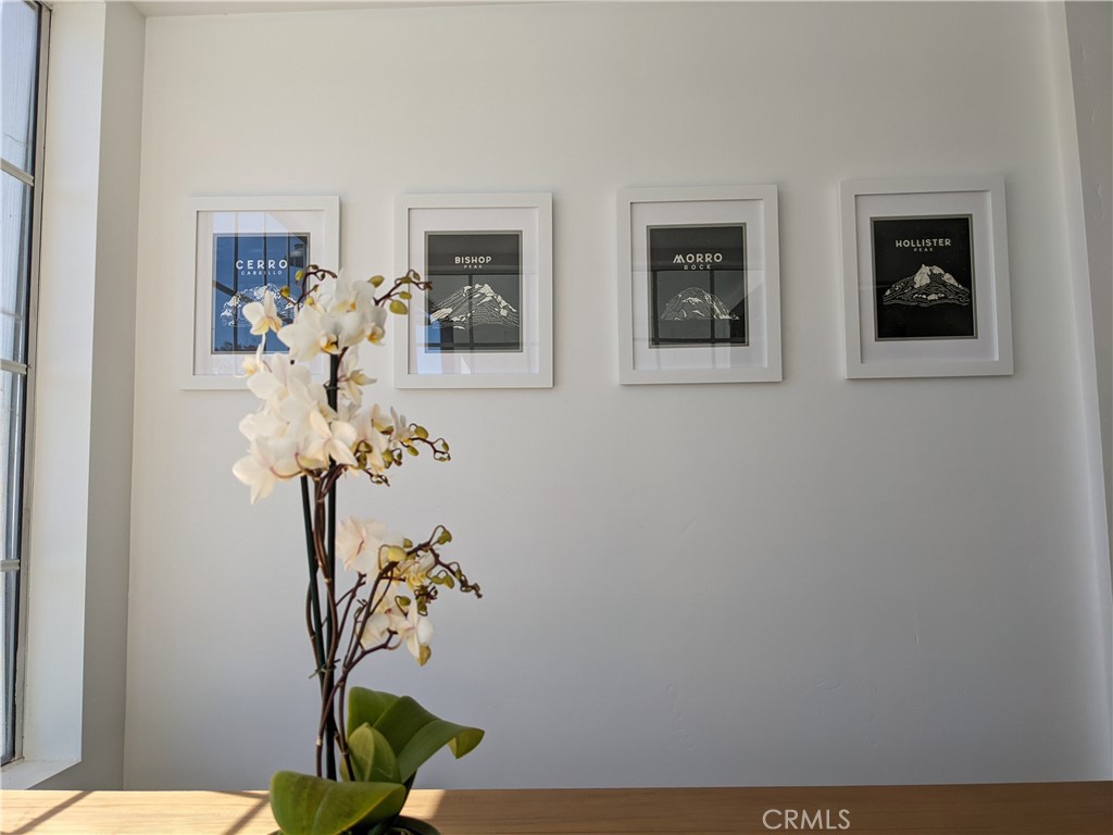 52 Oconnor, San Luis Obispo, CA 93405
