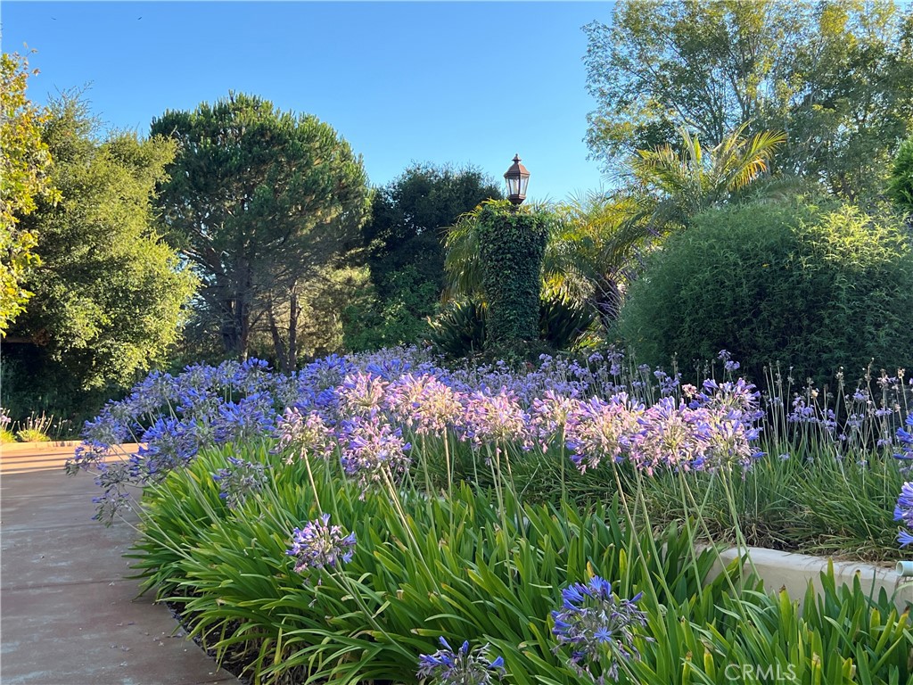1220 Bassi, San Luis Obispo, CA 93405
