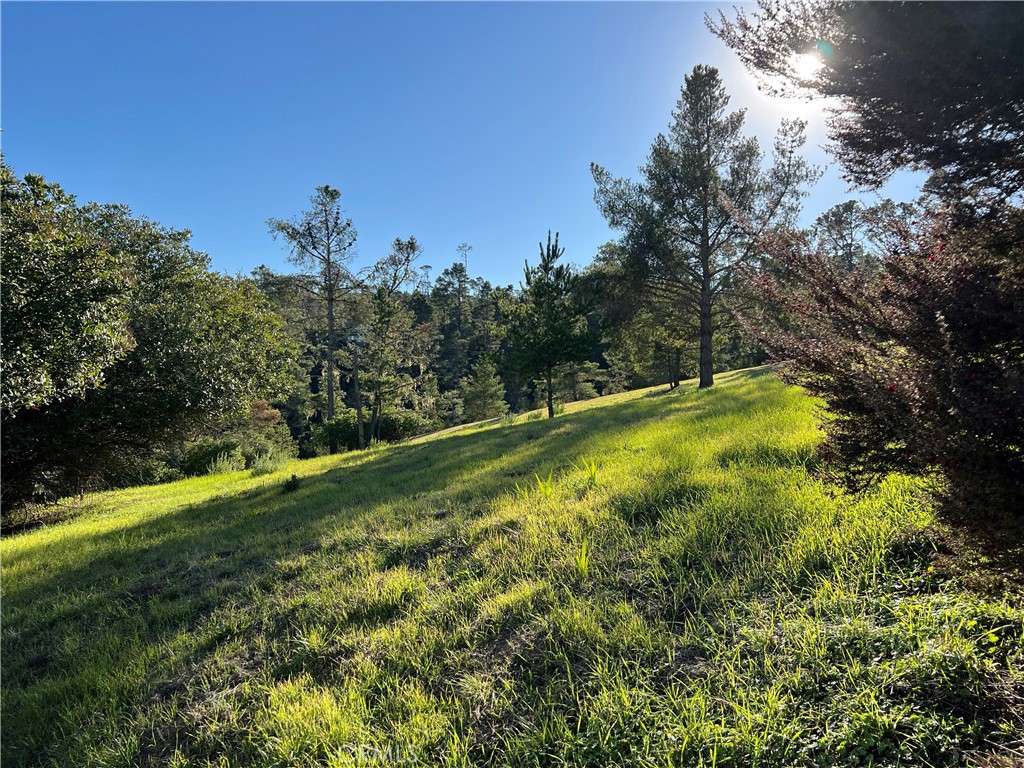 0 London Lane, Cambria, CA 93428