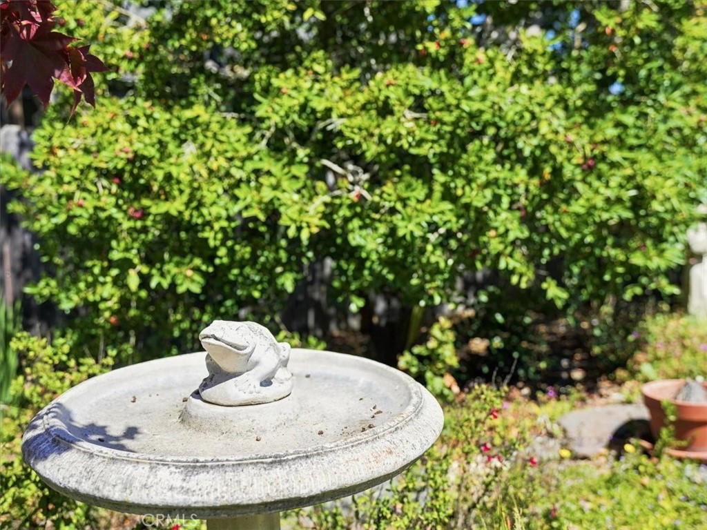 2512 Pineridge, Cambria, CA 93428