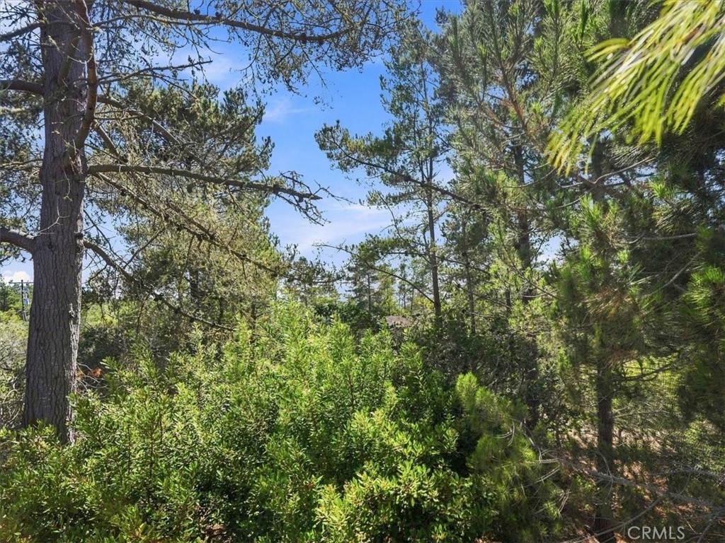1927 Norwich, Cambria, CA 93428