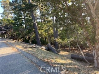 0 Bradford Rd, Cambria, CA 93428