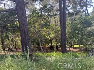 0 Bradford Rd, Cambria, CA 93428