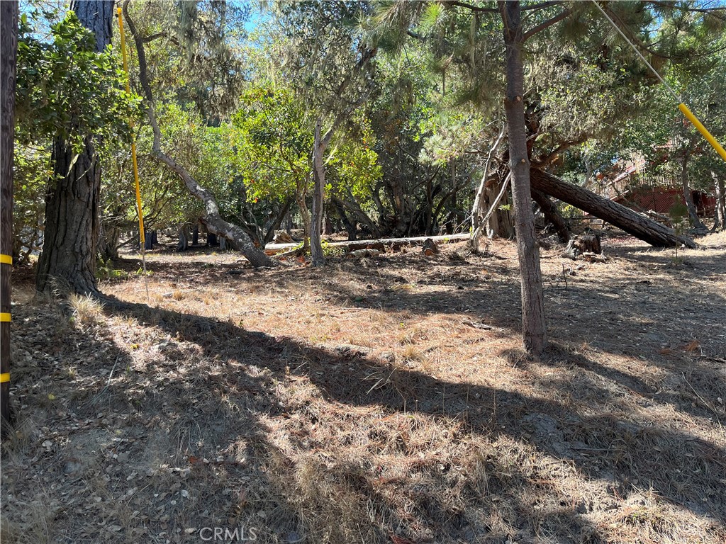 1840 Fern Dr, Cambria, CA 93428