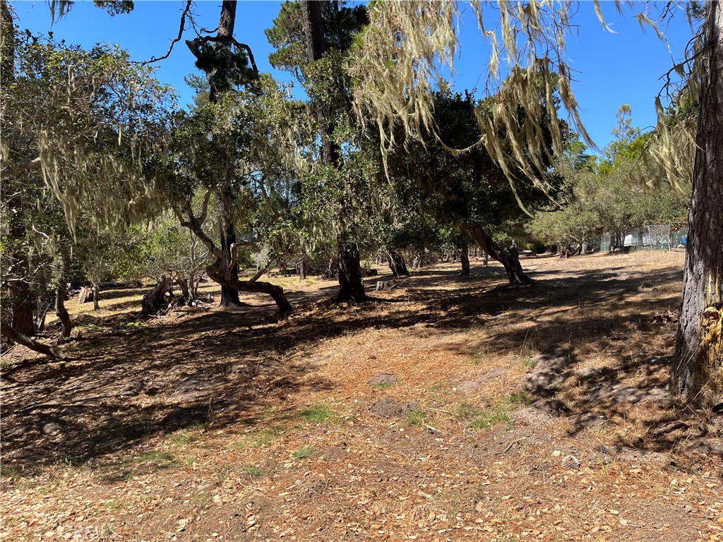 34 Kenneth, Cambria, CA 93428