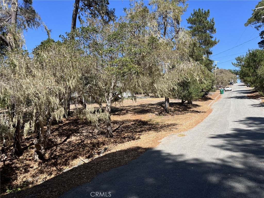 34 Kenneth, Cambria, CA 93428