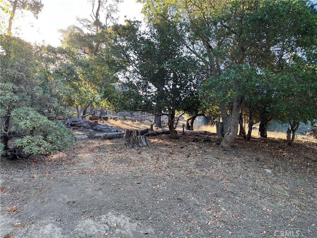 1670 Burton Dr, Cambria, CA 93428