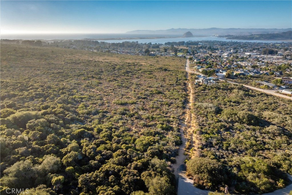 1145 Calle Cordoniz, Los Osos, CA 93402