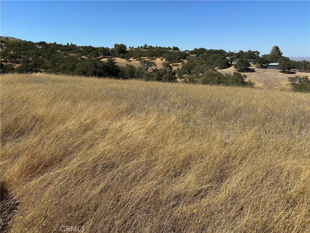 350 Robles Rd, Paso Robles, CA 93446