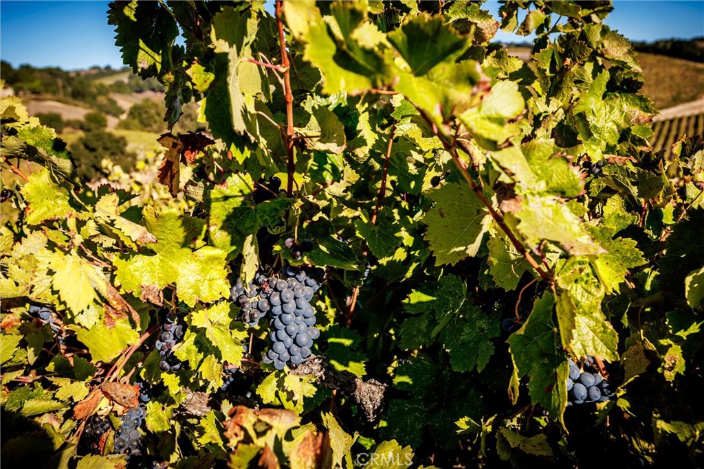 3130 Oakdale Rd., Paso Robles, CA 93446