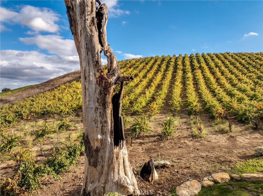 3130 Oakdale Rd., Paso Robles, CA 93446