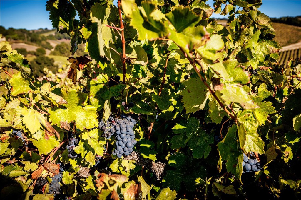 3130 Oakdale Rd., Paso Robles, CA 93446