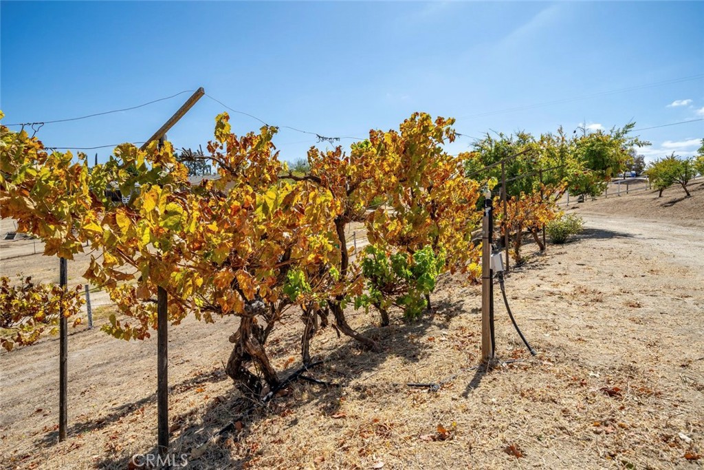 7170 Iverson, Paso Robles, CA 93446