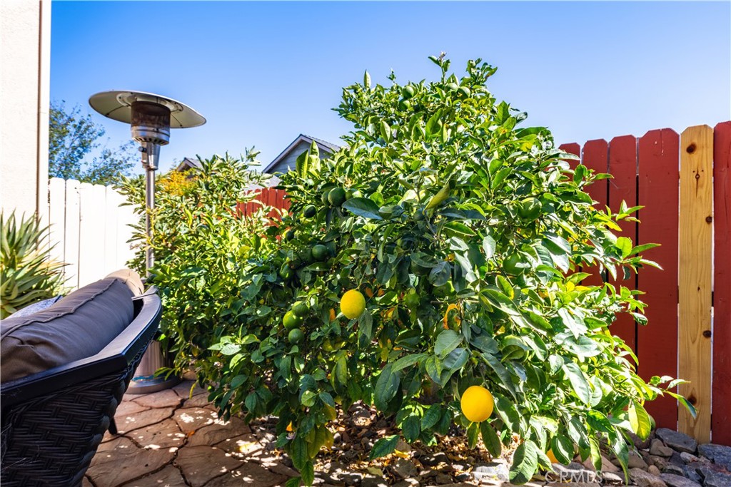 1771 1769 Singletree Ct, San Luis Obispo, CA 93405