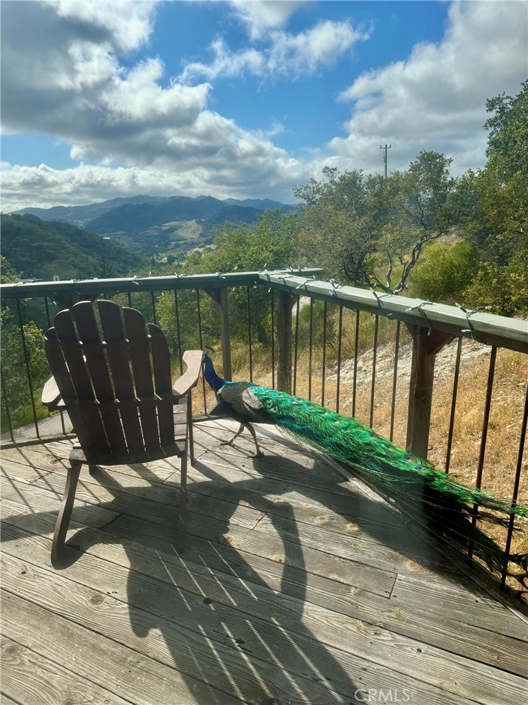 456 Squire Canyon Rd, San Luis Obispo, CA 93401