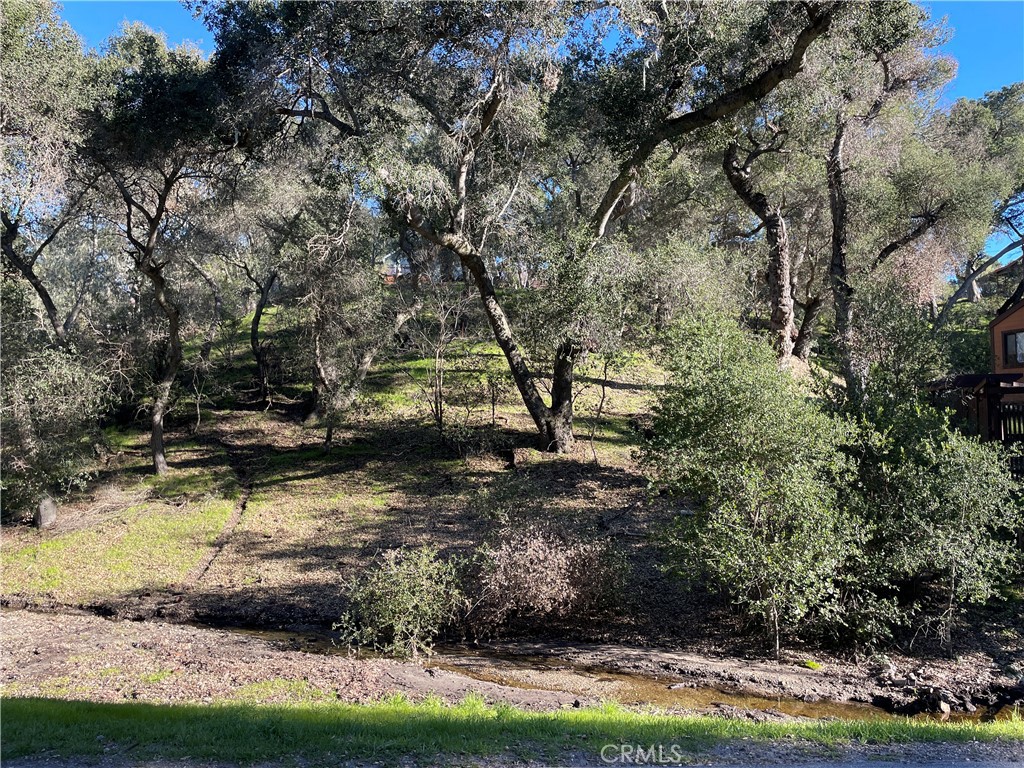 5155 Rosario Ave, Atascadero, CA 93422