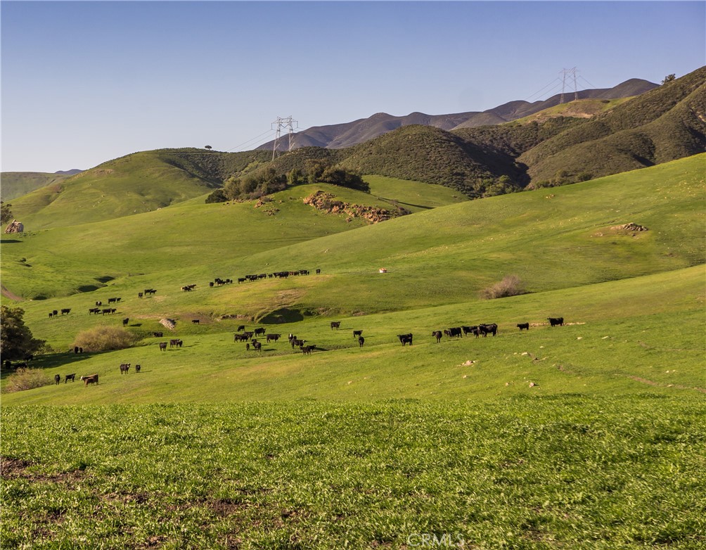 2440 Little Morro Creek, Morro Bay, CA 93442