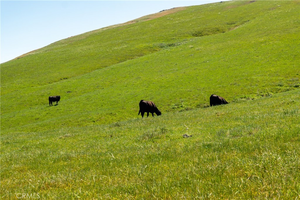 2440 Little Morro Creek, Morro Bay, CA 93442