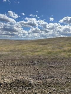 0 Kings Rd, Lost Hills, CA 93249