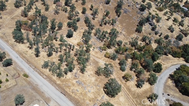 1 .., Squaw Valley, CA 93675