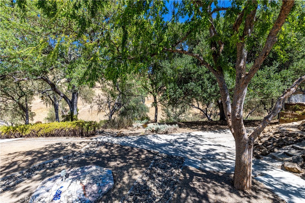 4250 Skylink Ln, Paso Robles, CA 93446