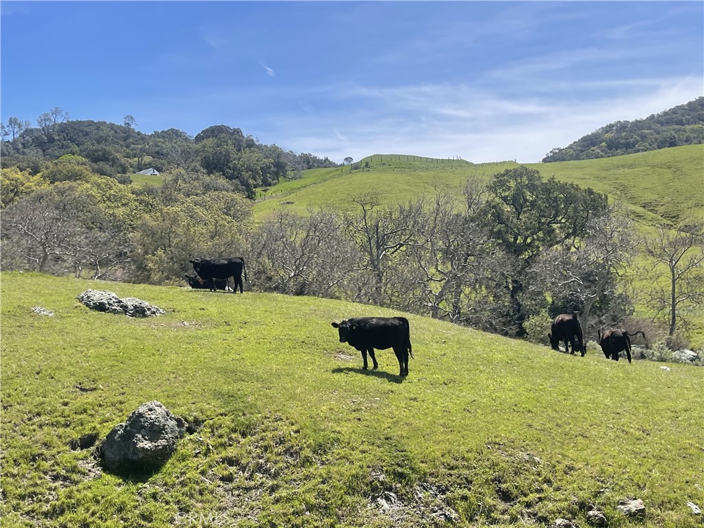 3265 Cypress Mountain Rd, Templeton, CA 93465