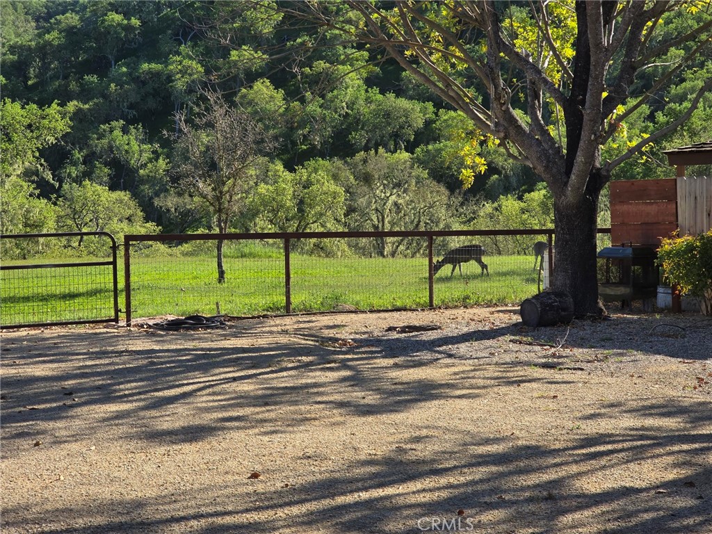 1856 Southfork Pl, Paso Robles, CA 93446