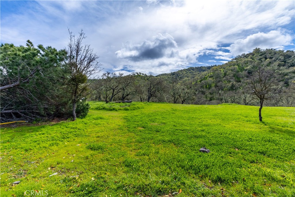 1856 Southfork Pl, Paso Robles, CA 93446