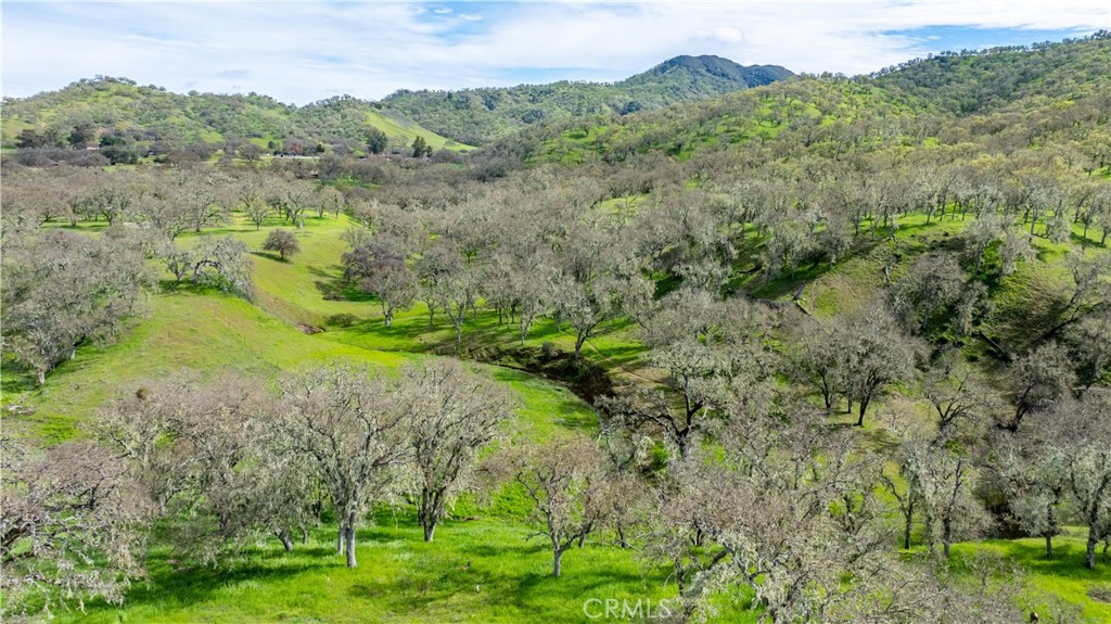 1856 Southfork Pl, Paso Robles, CA 93446
