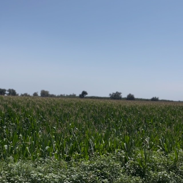 12837 Douglas Ave, Hanford, CA 93230