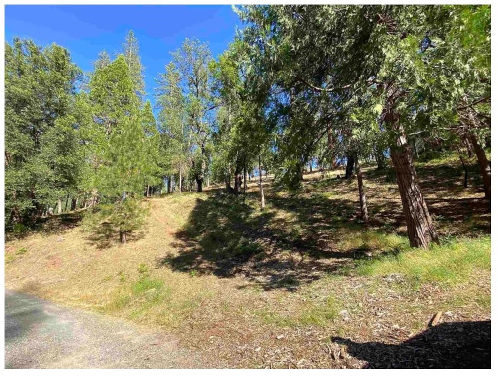 0 Pine Mountain Dr, Groveland, CA 95321