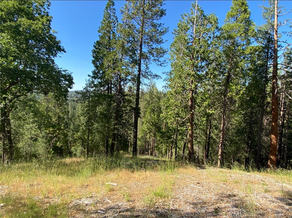 0 Pine Mountain Dr, Groveland, CA 95321