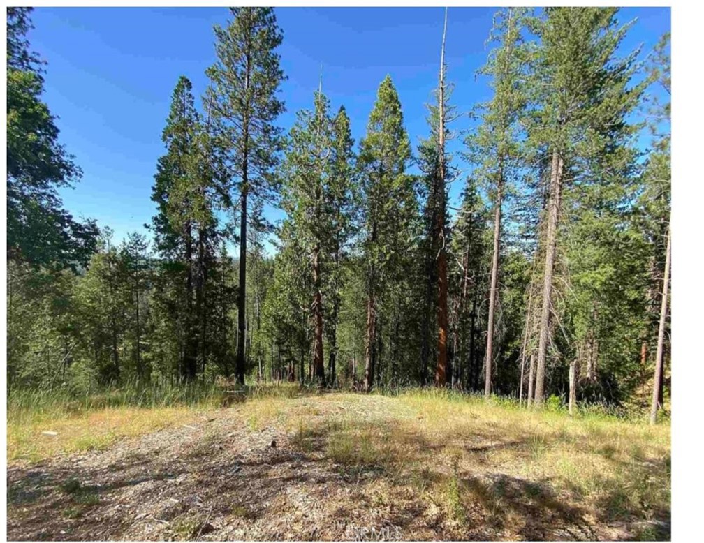 0 Pine Mountain Dr, Groveland, CA 95321