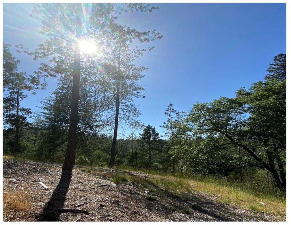 0 Pine Mountain Dr, Groveland, CA 95321