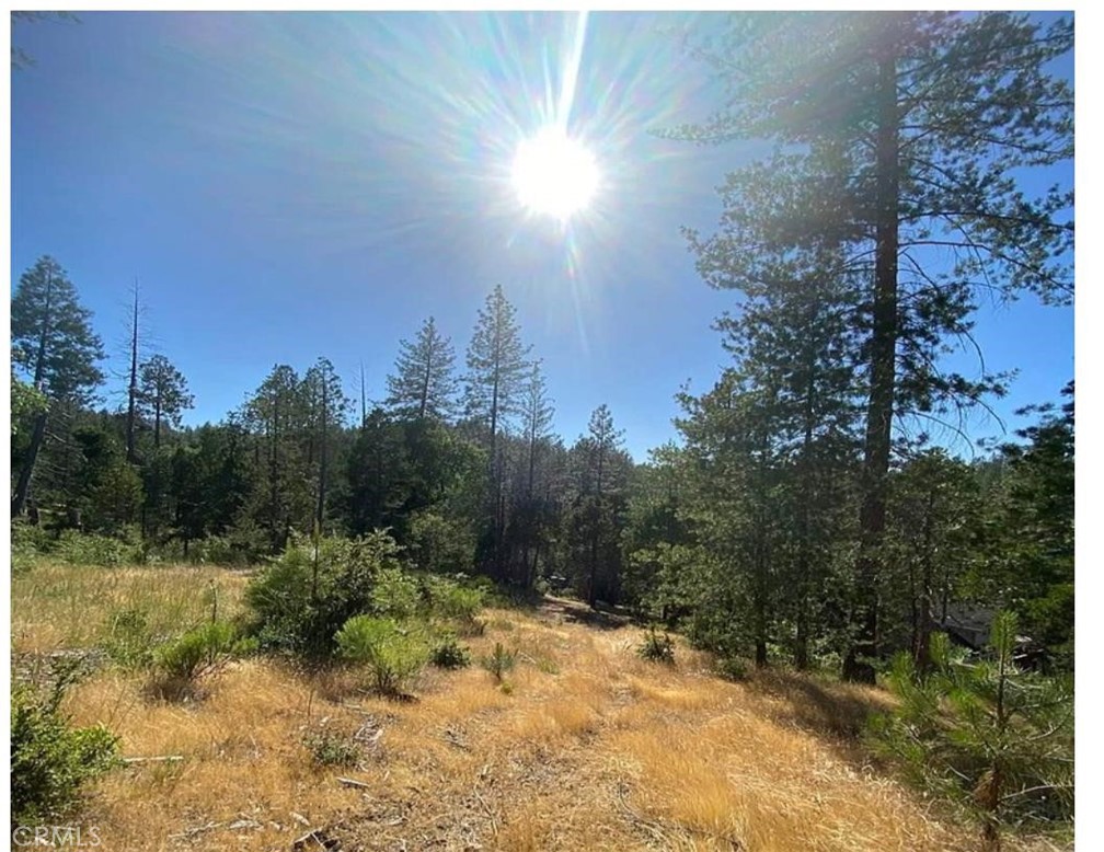 0 Pine Mountain Dr, Groveland, CA 95321