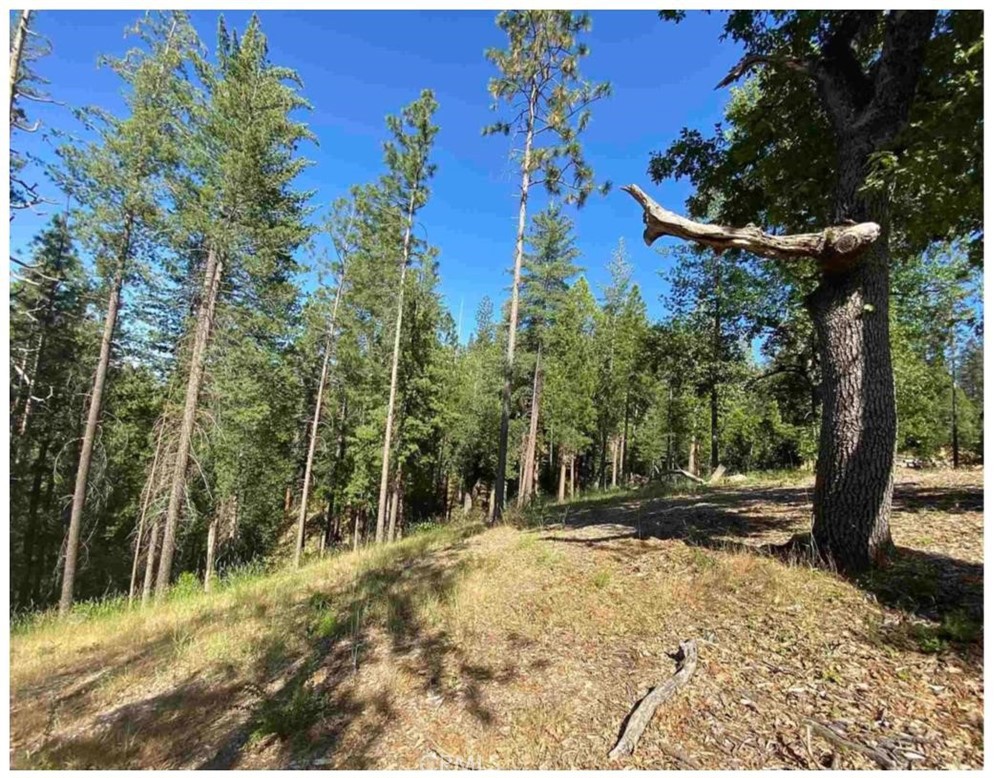 0 Pine Mountain Dr, Groveland, CA 95321