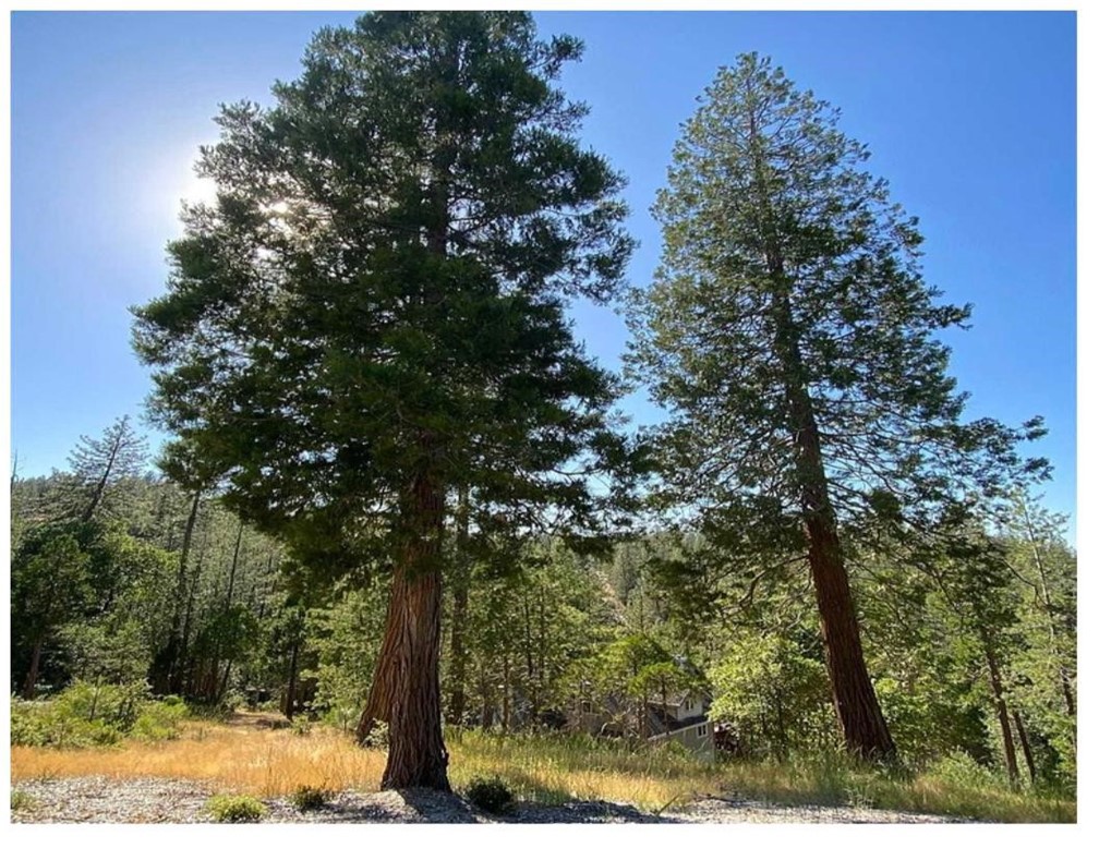 0 Pine Mountain Dr, Groveland, CA 95321