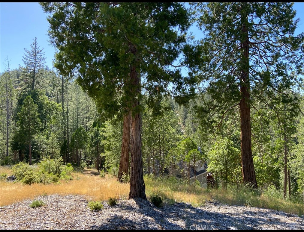 0 Pine Mountain Dr, Groveland, CA 95321
