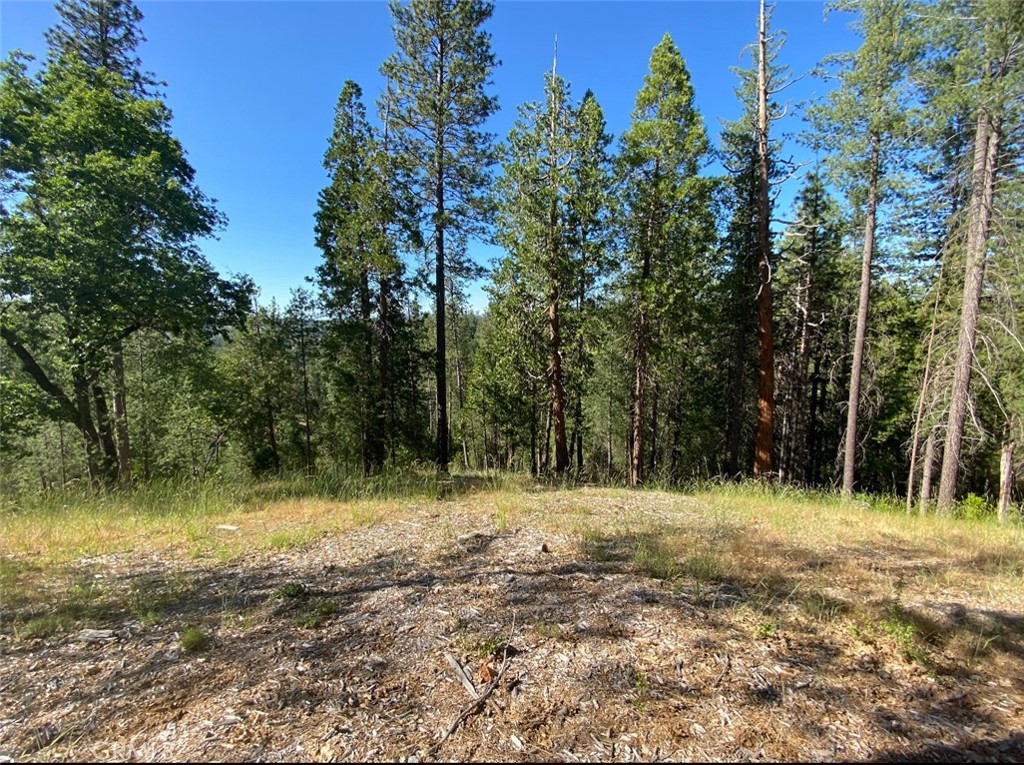 0 Pine Mountain Dr, Groveland, CA 95321
