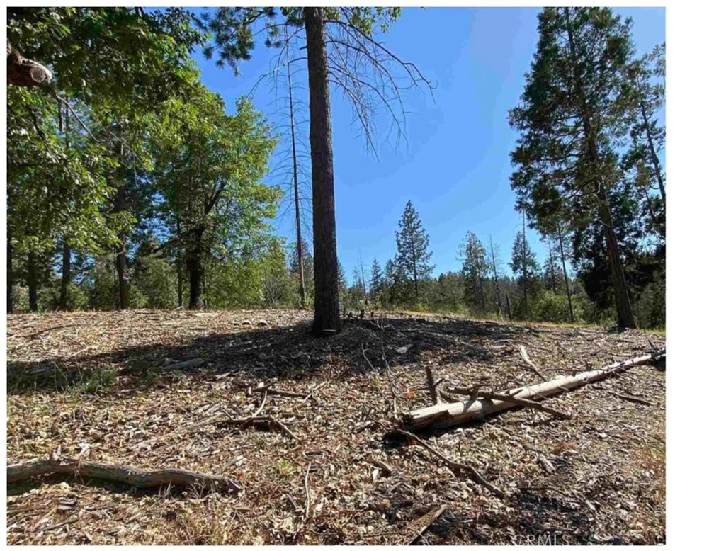 0 Pine Mountain Dr, Groveland, CA 95321