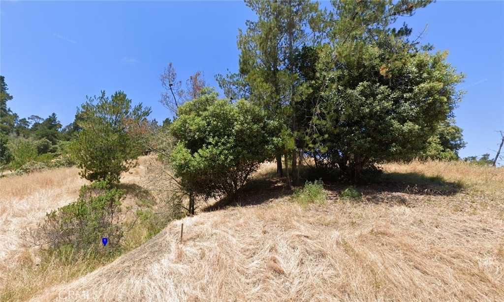 0 London Ln, Cambria, CA 93428