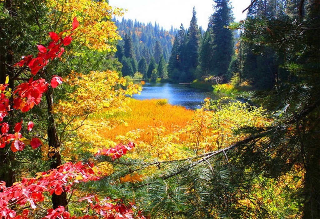 0 Revis Rd, Coarsegold, CA 93614