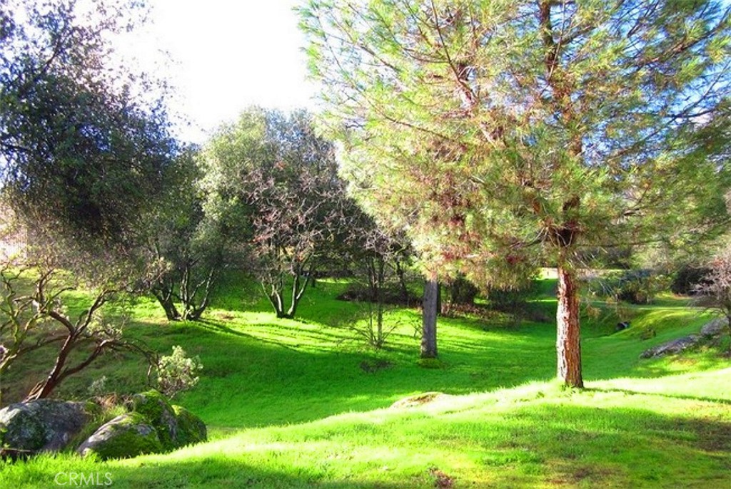 0 Revis Rd, Coarsegold, CA 93614