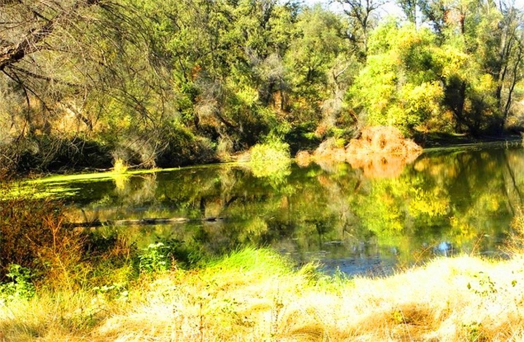 0 Revis Rd, Coarsegold, CA 93614