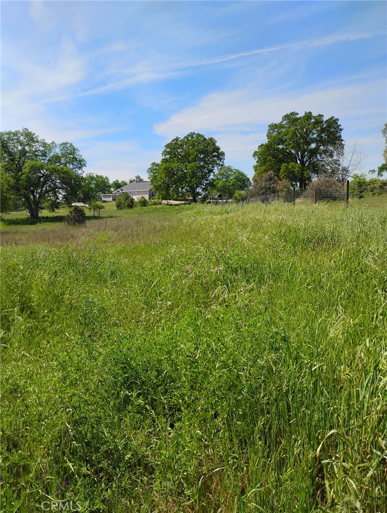35371 Spanish Oak, Auberry, CA 93602