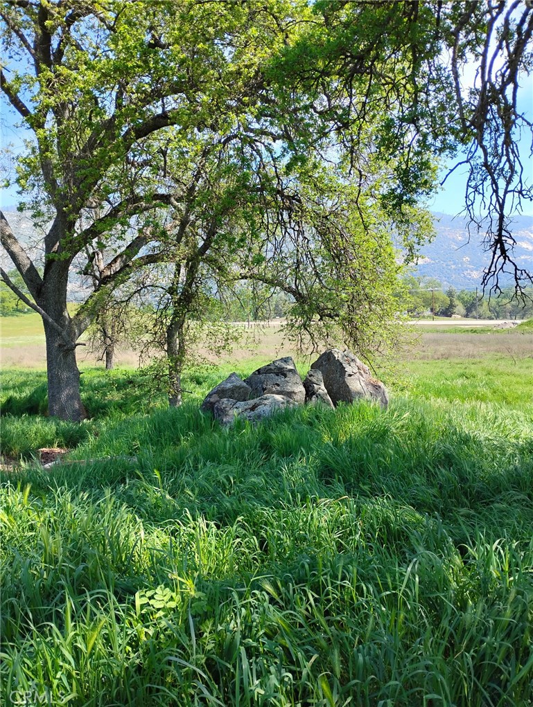 35371 Spanish Oak, Auberry, CA 93602