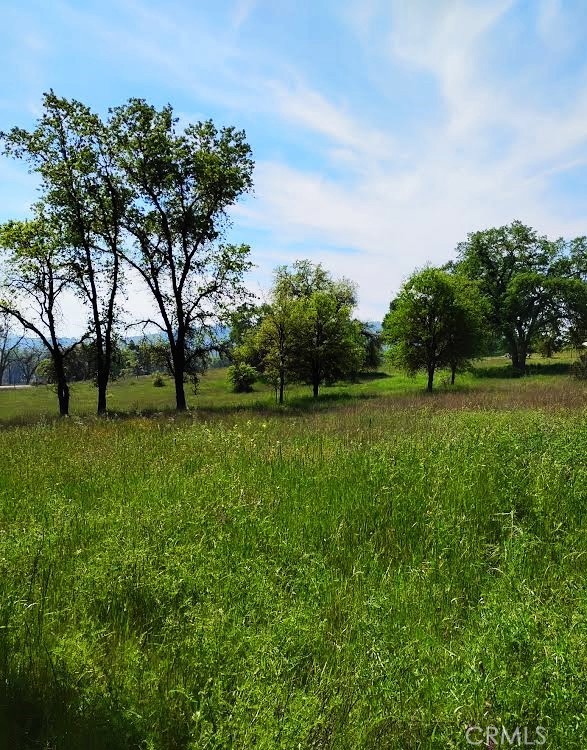 35371 Spanish Oak, Auberry, CA 93602
