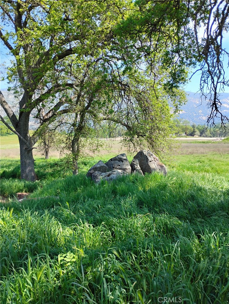 35400 Spanish Oak, Auberry, CA 93602