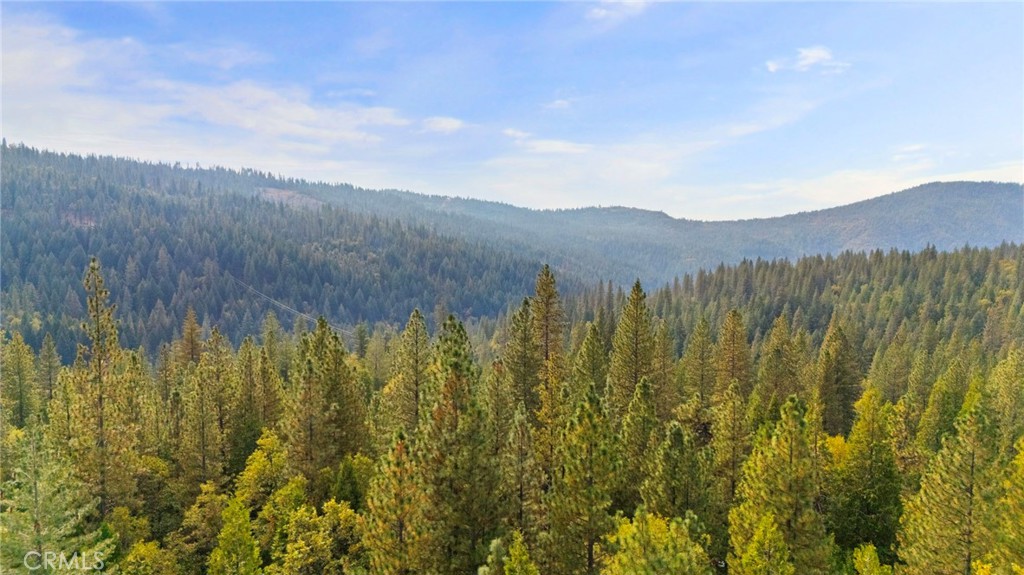 25833 Lyons Dam Rd, Twain Harte, CA 95383