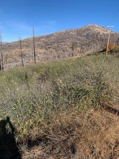 0 0 Solitude Lane, Shaver Lake, CA 93664